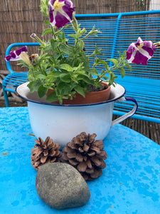 Vintage Enamel Chamber Pot … Quirky Planter Perhaps ?