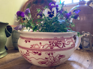 Great Planter … Pretty Chamber Pot Primula Pattern, Percival’s Victorian England